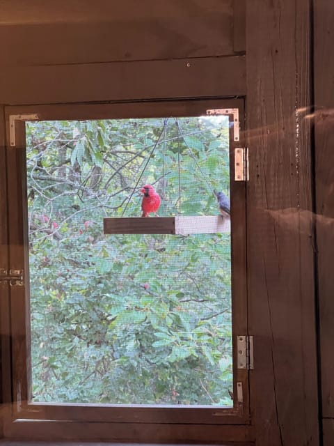 Secret door to re-load birdseed. see the Indiana State Bird, the Cardinal!