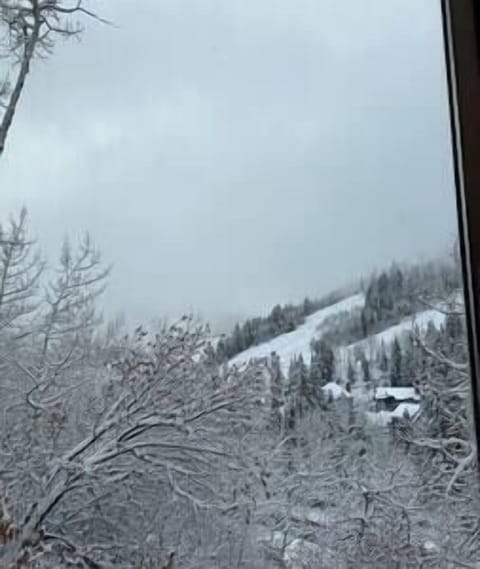 5be8eb3c 22c5 4770 ae00 f777fc23446c