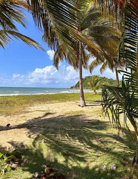 Sun loungers, beach towels