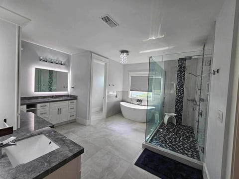 Shower, jetted tub, hair dryer, towels