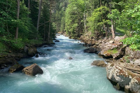 The Orrido of Prè Saint Didier