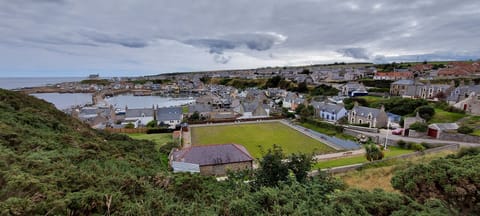Aerial view of village from the west
