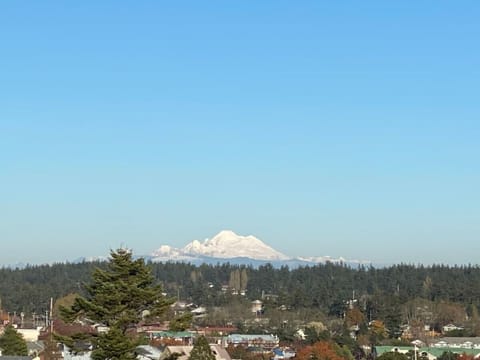 This is really what the eye sees!  I had to zoom in to make it the right size!  Absolutely stunning!