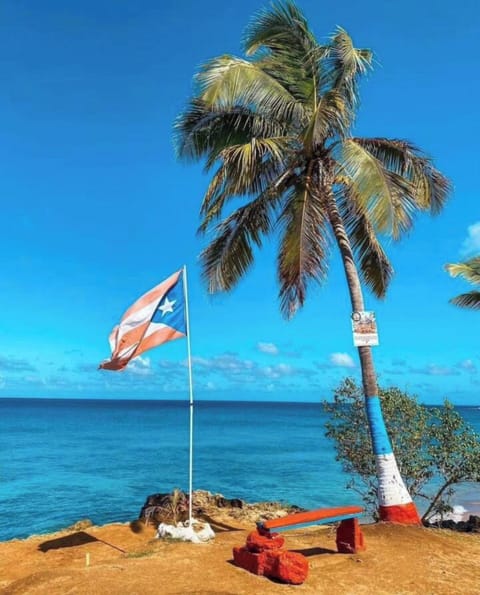 Sun loungers, beach towels