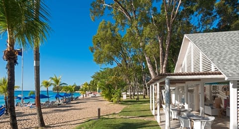 Sun loungers, beach towels