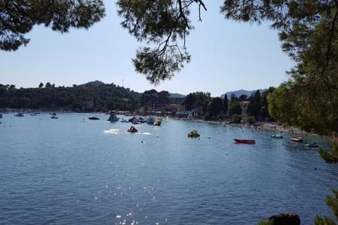 Immediate Surroundings [summer] (<1 km)