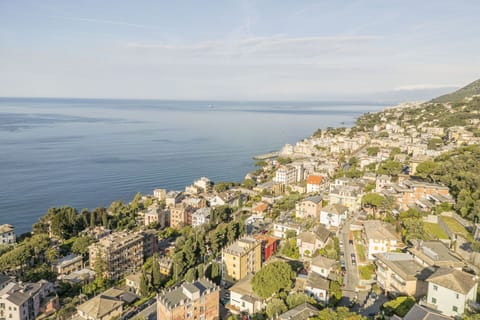 Autumn, Scenic View, Spring, Summer