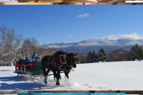 Snow and ski sports