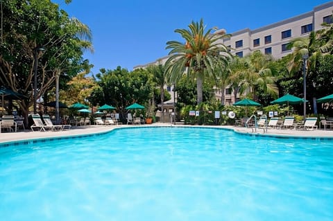 Dive into a sparkling pool framed by lush palms.