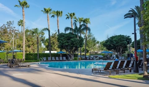 Stretch out on loungers and soak up the sunshine.
