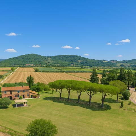 Autumn, Garden, Spring, Summer