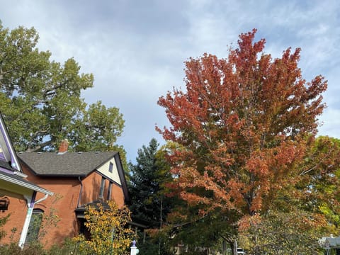 End lot with quiet backyard.