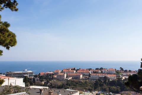 Beach/ocean view