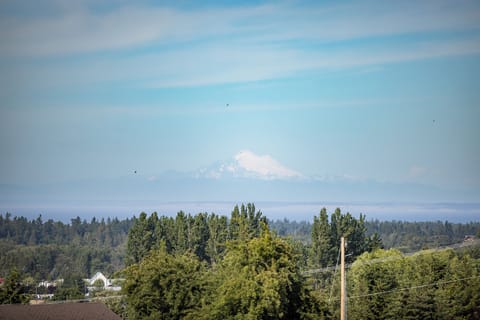 Beautiful views of Mt. Baker.
