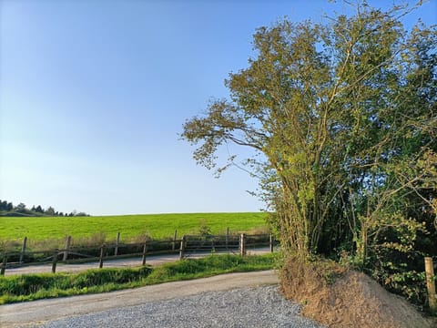 View from front of Lodge across our field towards Lydford Forest