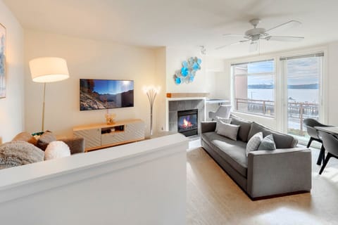 Living Room with double size sofa bed, Smart TV and fireplace