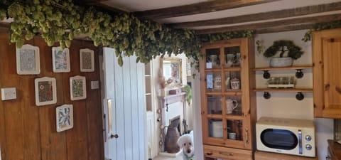 HOPS IN THE KITCHEN