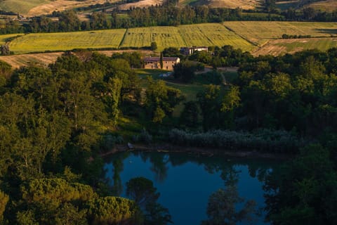 Nature, Tree, Natural Environment, Natural Landscape, Landscape, Village, Reservoir, Pond, Plantation
