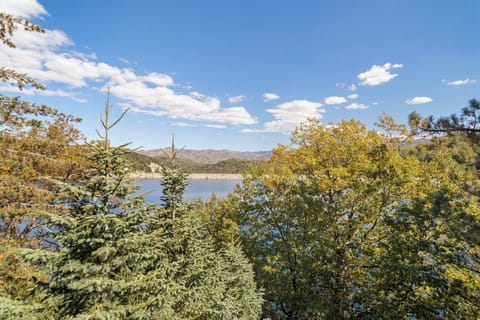 Breathtaking Lake & Mountain VIEWS, Big GAME ROOM & Jacuzzi (18)