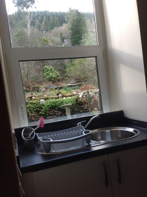 View to the rear yard.