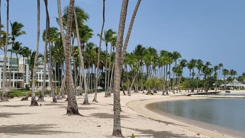 Beach nearby, sun loungers, beach towels