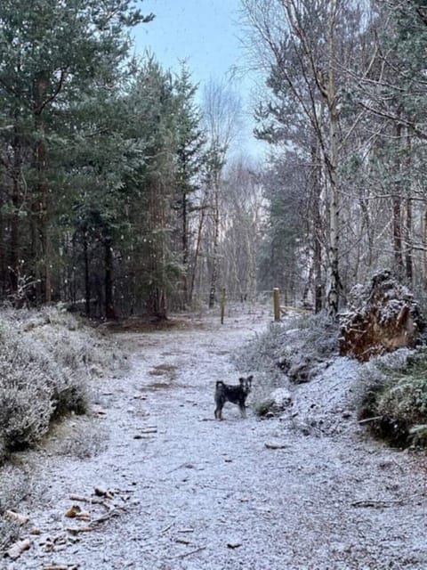 A winter wonderland…