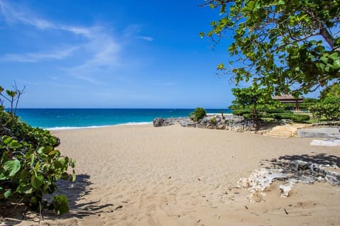 Sun loungers, beach towels