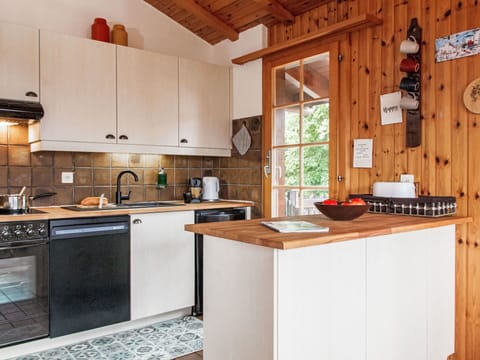 Cabinetry, Countertop, Window, Kitchen, Kitchen Stove, Kitchen Appliance, Wood, Building, Home Appliance, Interior Design