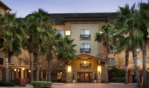 Arrive to a palm-lined entrance glowing with warm welcome.
