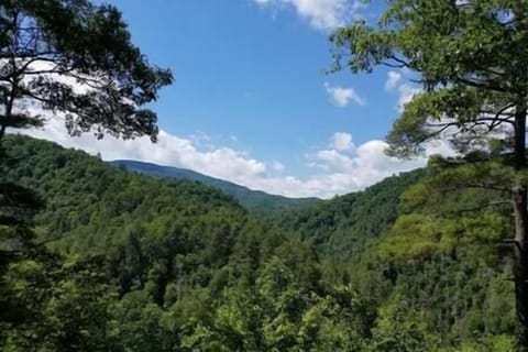 C1223dc9 34da 410e 8db7 29ae4c1be3cb