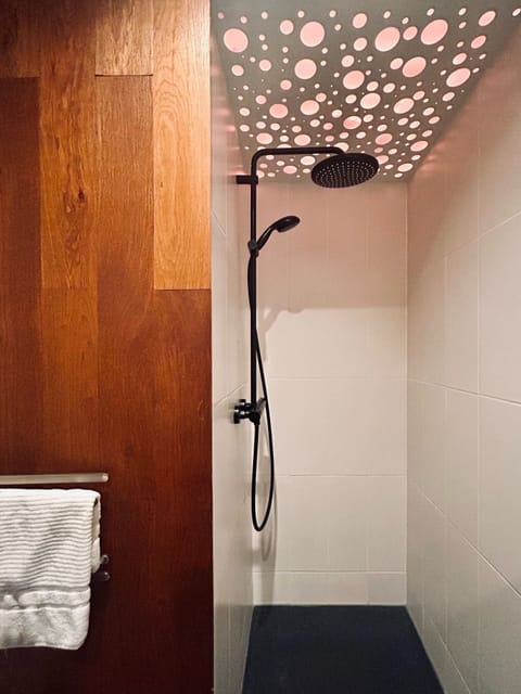 Shower, jetted tub, hair dryer, towels