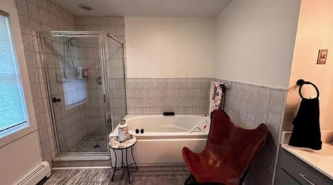 Shower, jetted tub, hair dryer, towels