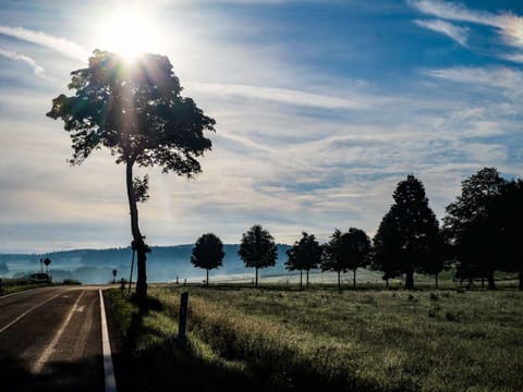 Sky, Property, Plant, Tree, Building, Land Lot, Slope, Shade, Asphalt, Wood