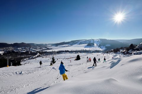 Snow and ski sports