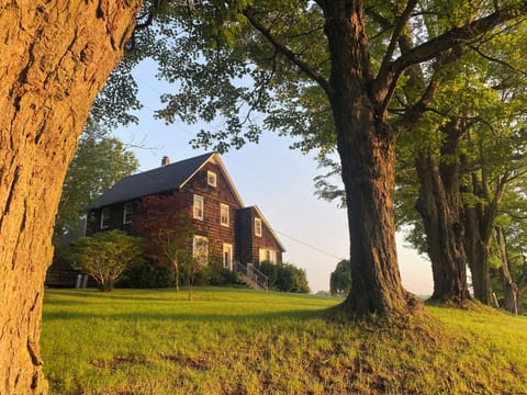 Welcome to the Patchen Hill Farm House, Tree Farm, & Arboretum! Its beautiful!