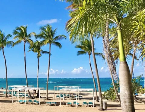 On the beach, sun loungers, beach towels