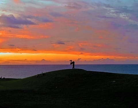 Live your own dream !