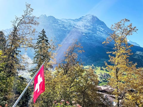 Sky, Mountain, Natural Landscape, Flag, Larch, Branch, Vegetation, Slope, Evergreen, Snow