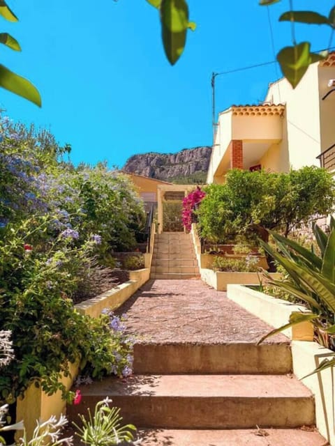 Garden with mountain view