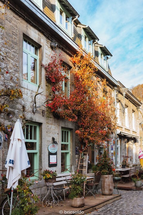 Charming Ardennes village street near Durbuy and Ciney. Authentic stone houses with autumn colours, perfect for exploring after your stay.