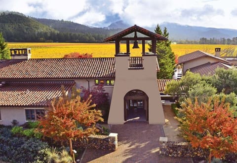 We love St. Francis Winery in Kenwood. Book a tasting.