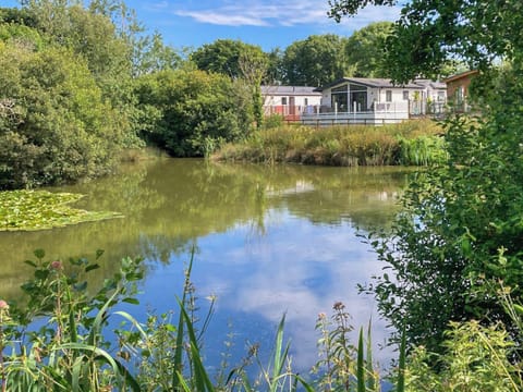 Fishing lakes | Sandy Toes, Newquay