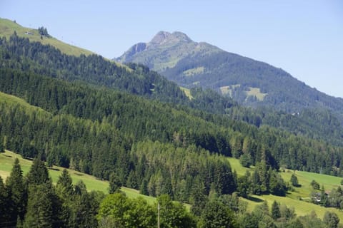 Region [summer] (&gt;5 km)