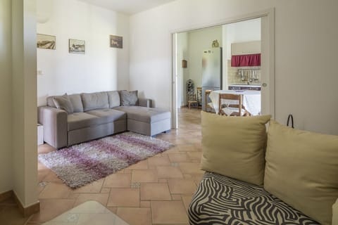 Autumn, Living Room, Spring, Summer