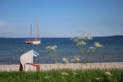 On the beach