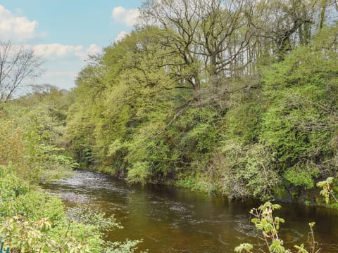 Surrounding area | Tawe Cottage, Ystradgynlais