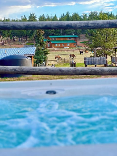 0f3ae8f0-dcc0-44da-b8b4-00de0385e73d