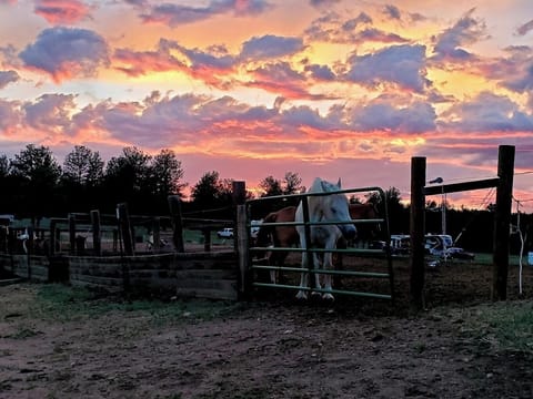 c86180f1-63d2-456f-8305-60e3cbc2dcc0