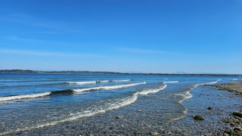 Beach nearby, sun loungers, beach towels