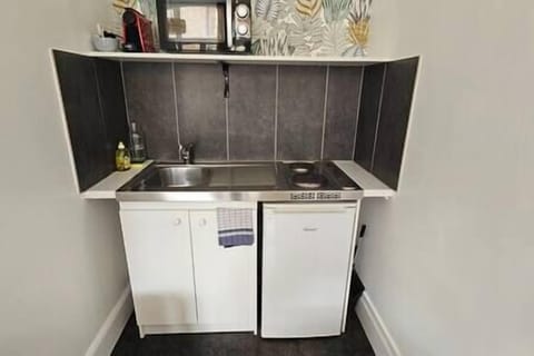 Fridge, microwave, coffee/tea maker, highchair